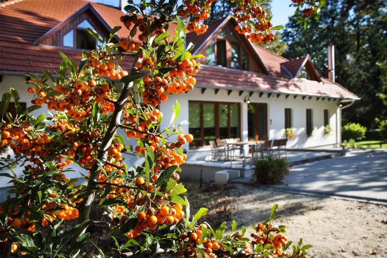 Hodoseri Vadaszhaz Bakonyszentlaszlo ภายนอก รูปภาพ